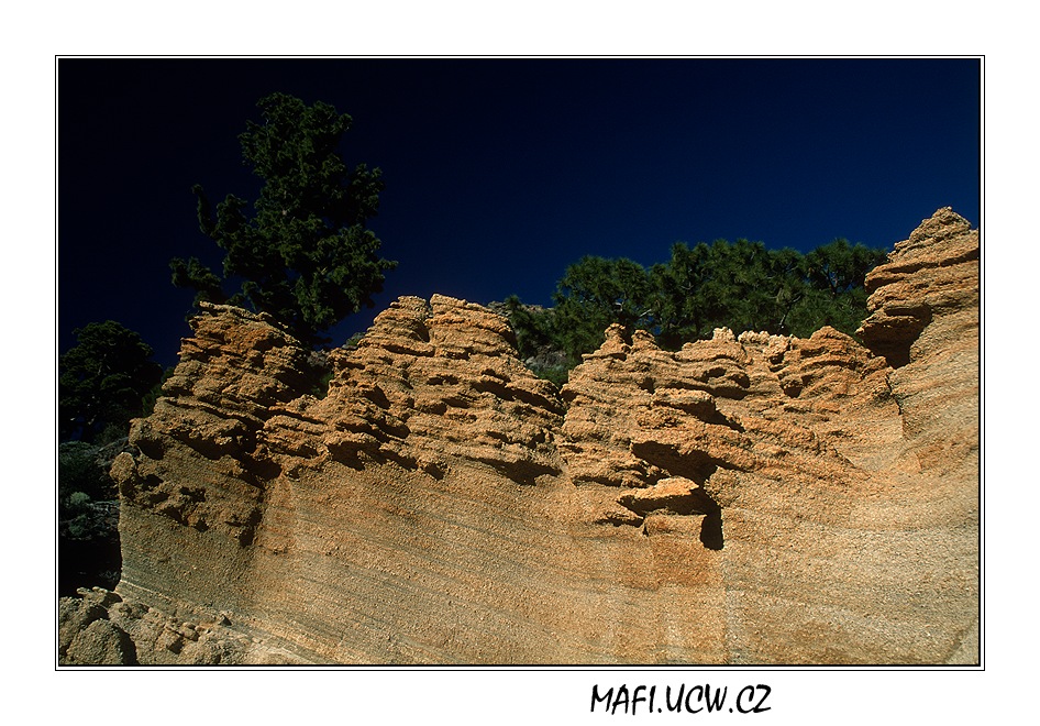 canaria06_05_18 .jpg